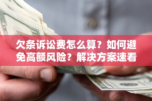 北京欠条诉讼费怎么算？如何避免高额风险？解决方案速看！