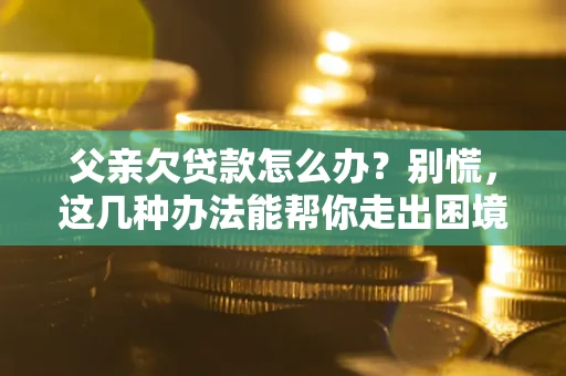 北京父亲欠贷款怎么办？别慌，这几种办法能帮你走出困境