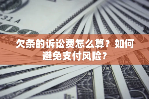 北京欠条的诉讼费怎么算？如何避免支付风险？